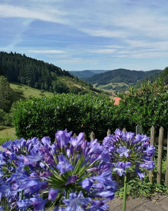 Gasthaus Kappelehof